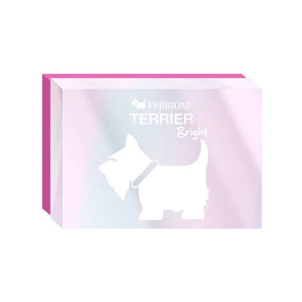Ferrioni Terrier Bright